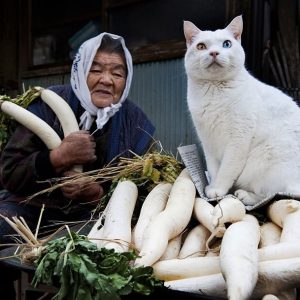 Mei - rencontre-Asiatique-Nîmes